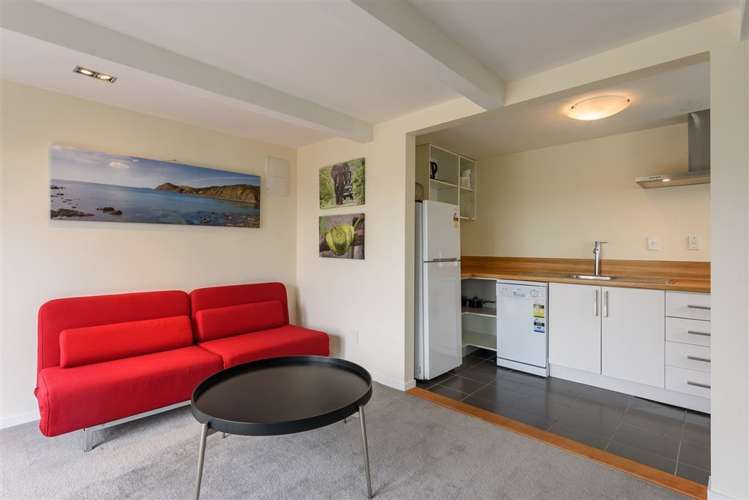 25 Mortimer Terrace Aro Valley_30