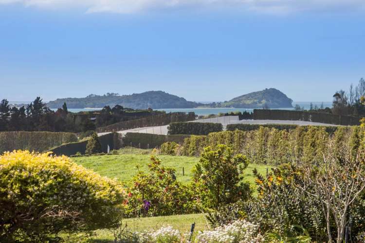 22 Noron Place Katikati_5