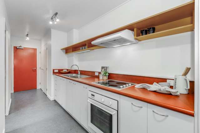 5/7 Feltex Lane Te Aro_4