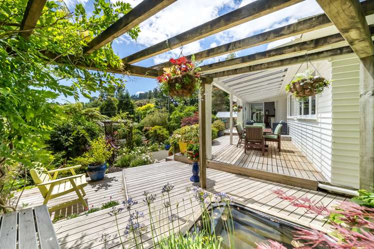 58 Jocelyn Crescent Pinehaven_8