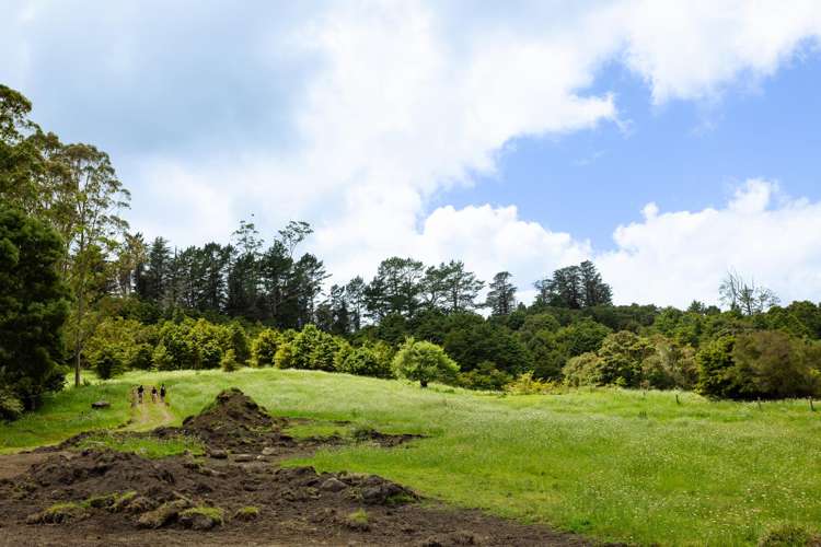 48 Doel Road Kawakawa_31