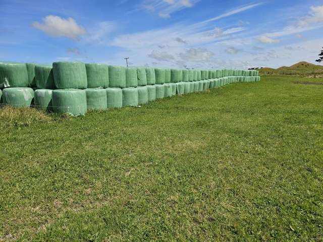 955 Opua Road Opunake_4