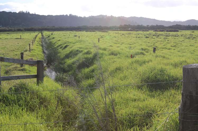 Lot 30 Motukiore Road_5