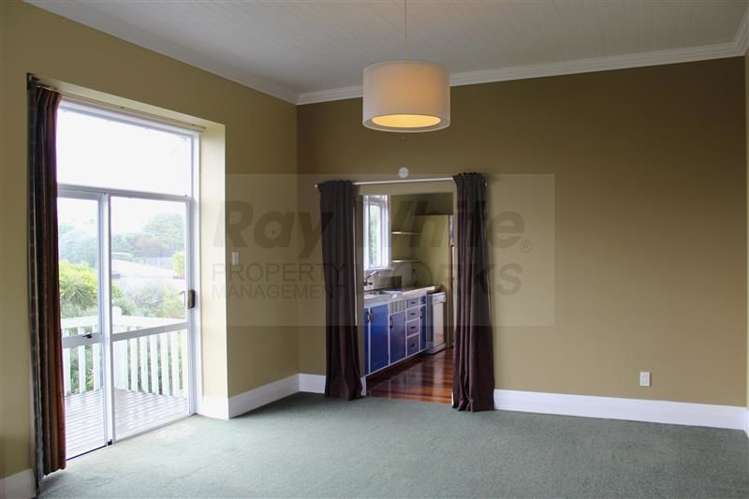 17 Elliot Street Andersons Bay_2