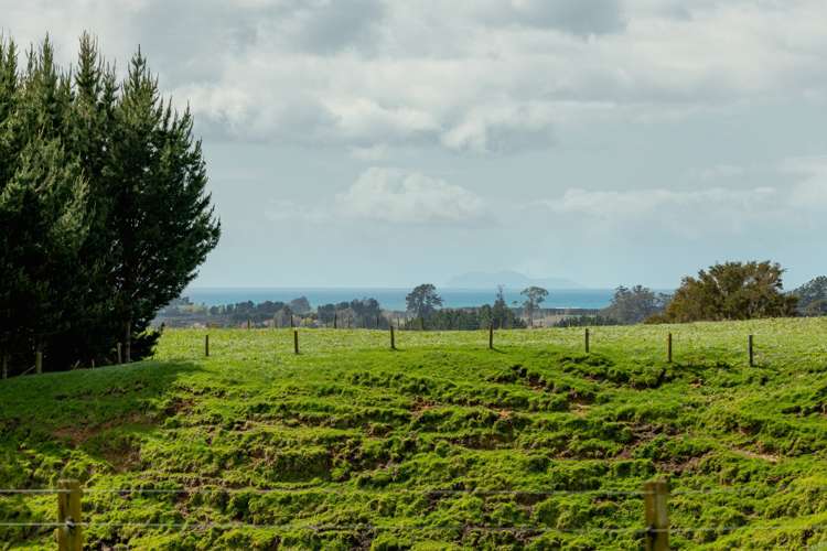 461 Otamarakau Valley Road Pukehina_18