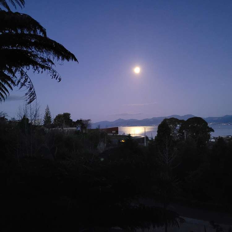 6 Korepo Road Ruby Bay_29