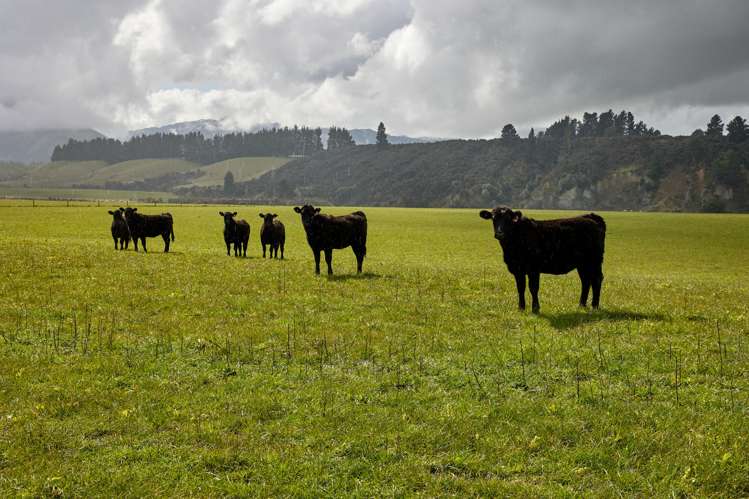 3429 Inland Kaikoura Road Mt Lyford_31