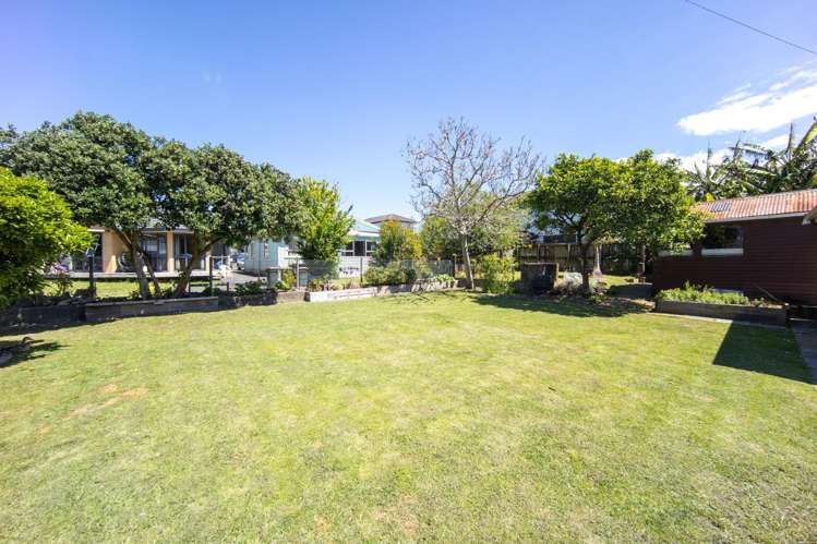 4 Holly Street Avondale_6