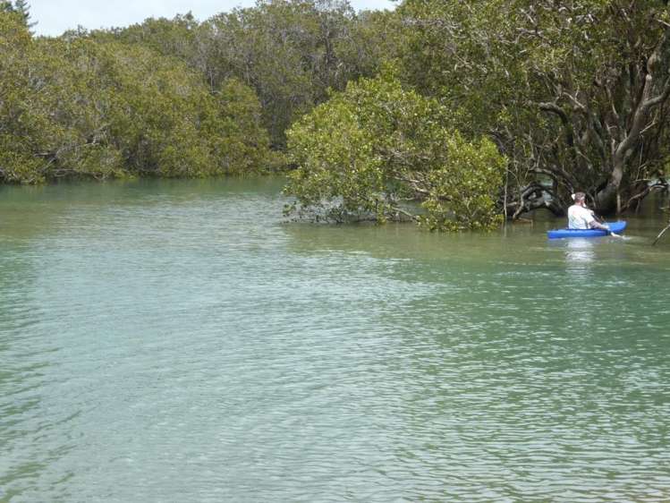 23 Paihia Road Paihia_47