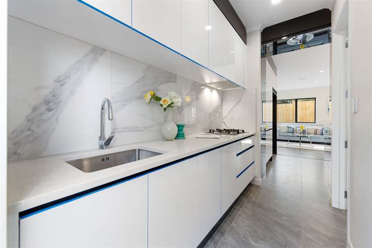 22 Tipu Road Flat Bush_20