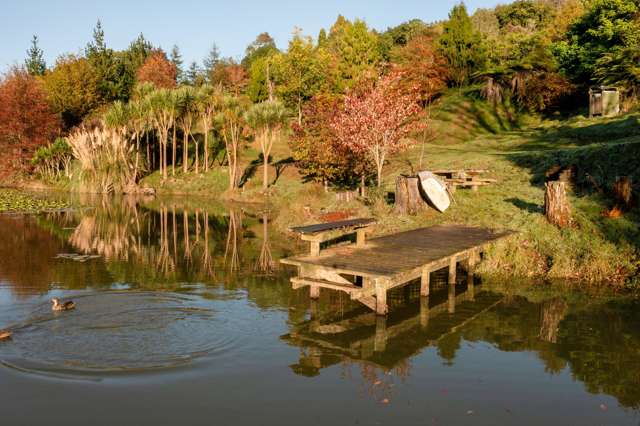 1555B State Highway 2 Whakamarama_1