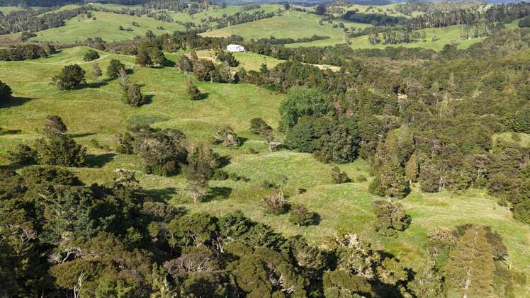 125 Orira Road Umawera_15