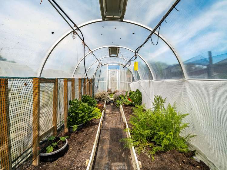 24 and 24A Main Road Owaka_26