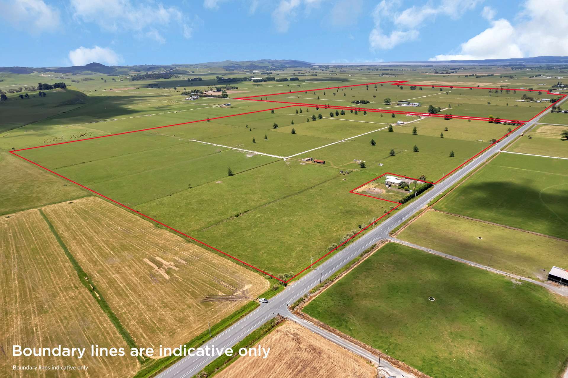 530 Tramline Road Ruawai_0