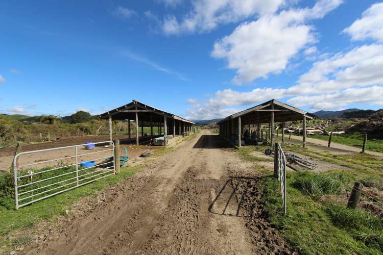 579 Kopikopiko Road Eketahuna_14