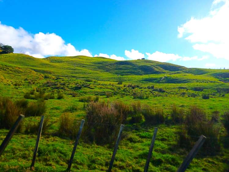 92 Takahue Saddle Road Takahue_31