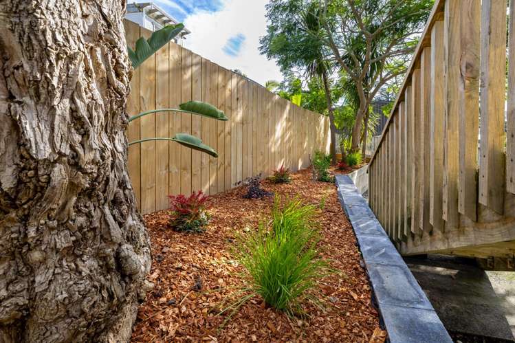 6 Helen Place Raglan_29