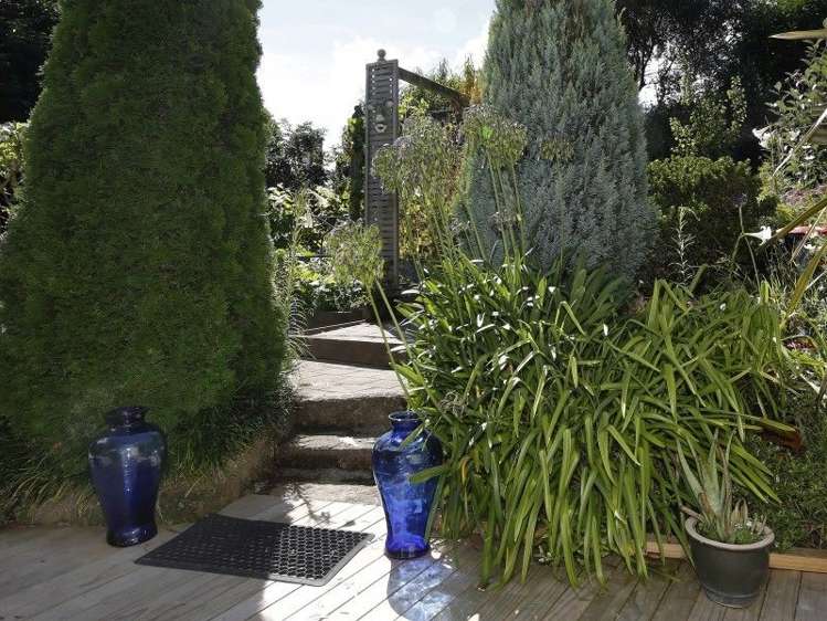 56 Durham Street Picton_4