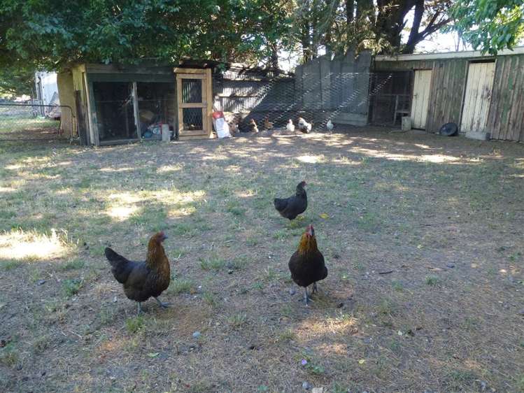 261 Oxford Road Fernside_29