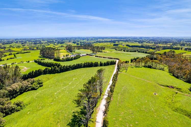 1627 Mangorei Road Korito_6