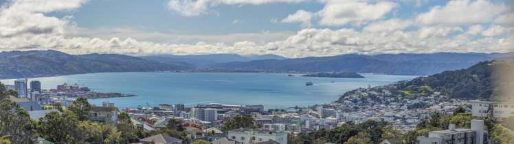 24 Sugarloaf Road Brooklyn_33