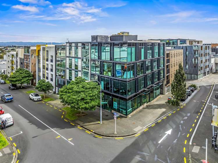 5 Crummer Road Grey Lynn_15