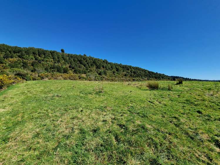 Blue Spur Road Hokitika_7