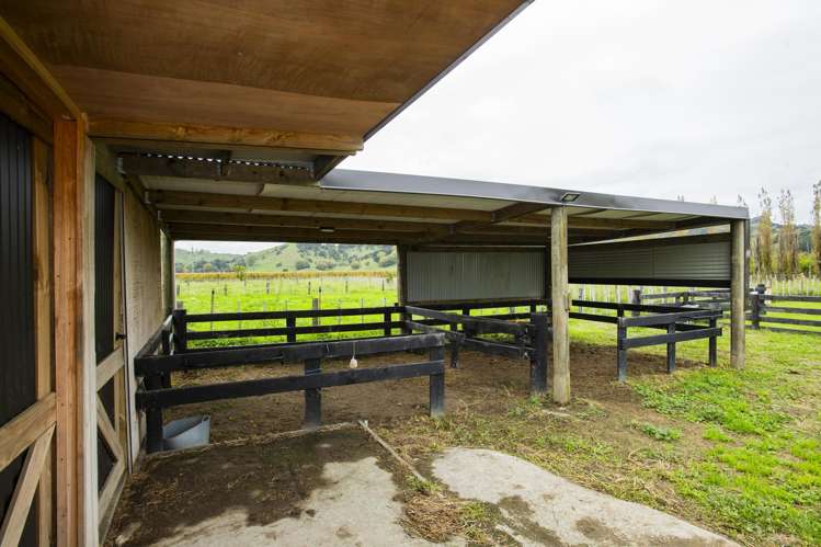 1290 Matawai Road Ormond_13