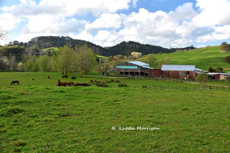 726 Paparoa Station Road Maungaturoto_14