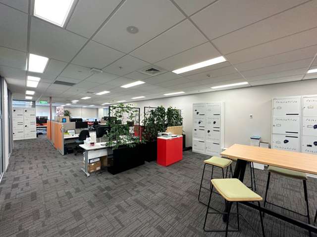 101 Carlton Gore Road Newmarket_3