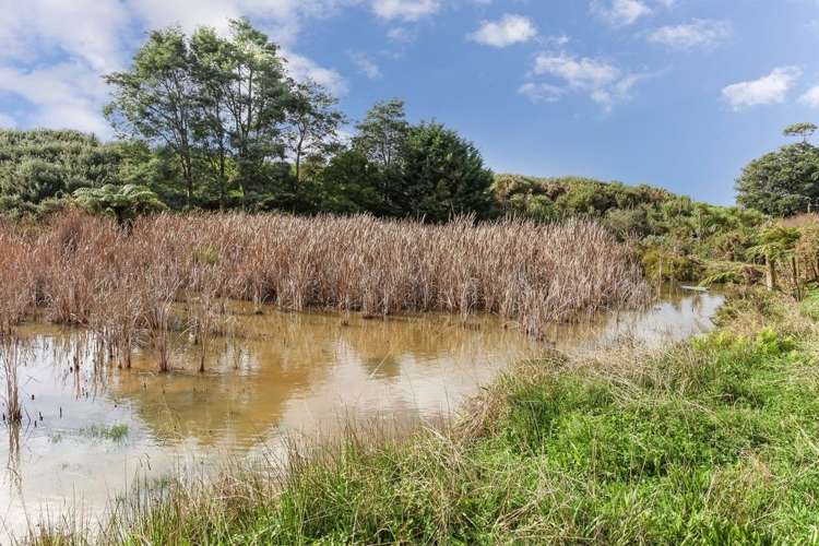 122 Hira Access Road Onewhero_19