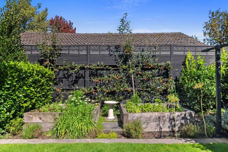 43 Colombo Street Cashmere_34