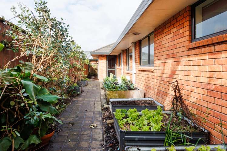 1 Alpine Grove Kelvin Grove_19