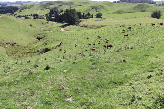 102 Manu Road Te Popo_2