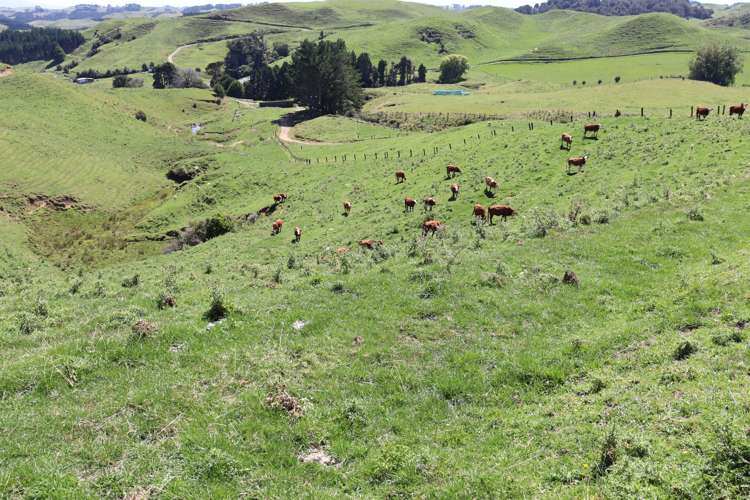 102 Manu Road Te Popo_2