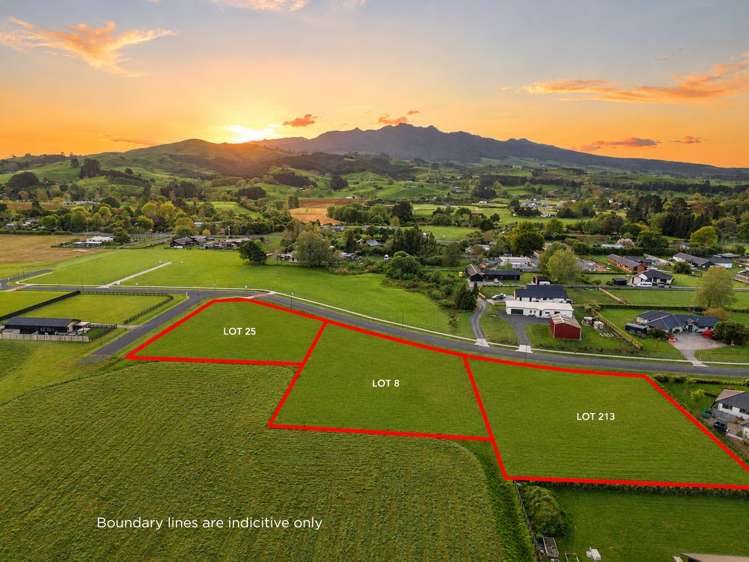 Amber Views Stage Three Pirongia_7