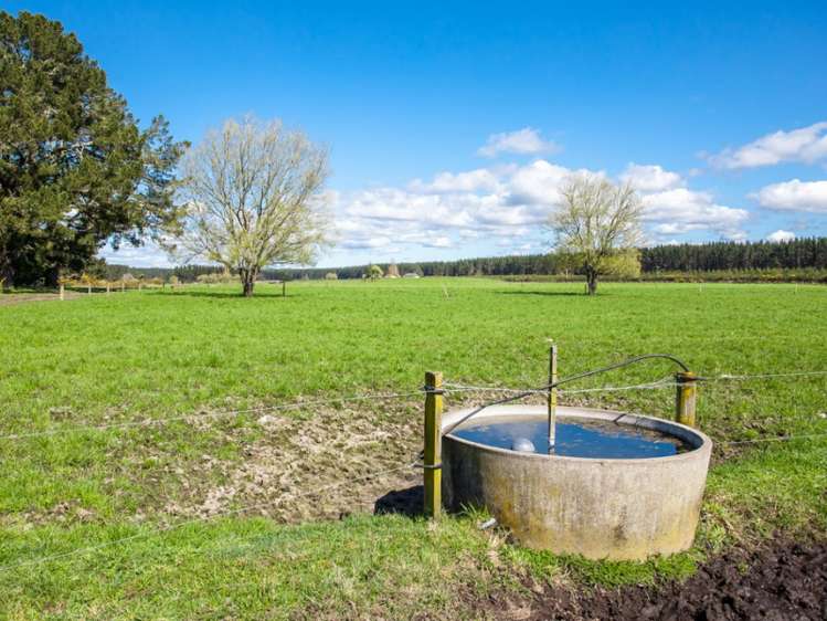 667a Kopuriki Road Murupara Surrounds_10