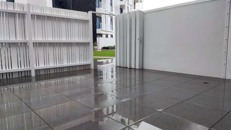 118/223a Green Lane West Auckland_5