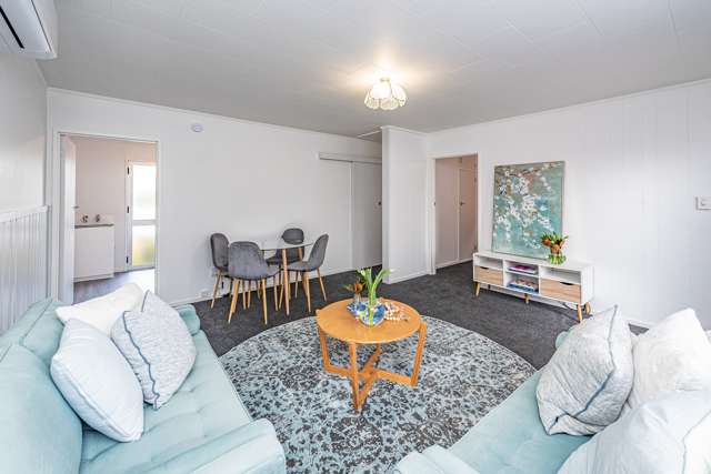 33e Harrison Street Wanganui Central_2