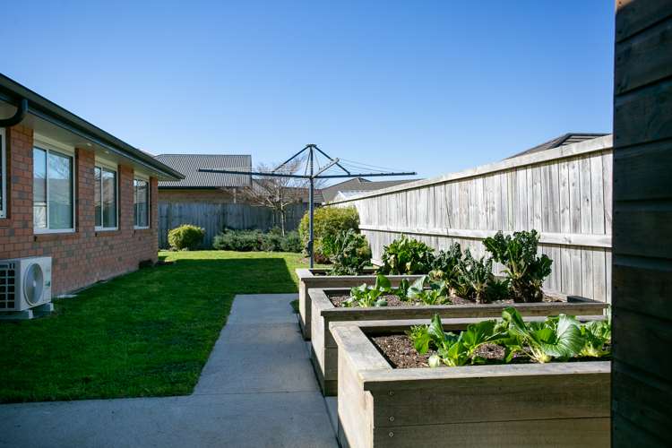 16 Tiaki Way Cambridge_17