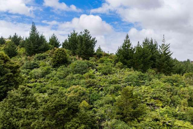 3044 Paparoa-Oakleigh Road, Paparoa Paparoa_1