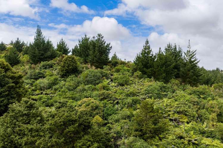 3044 Paparoa-Oakleigh Road, Paparoa Paparoa_1