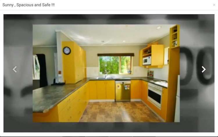 40 Wingfield Place Churton Park_1