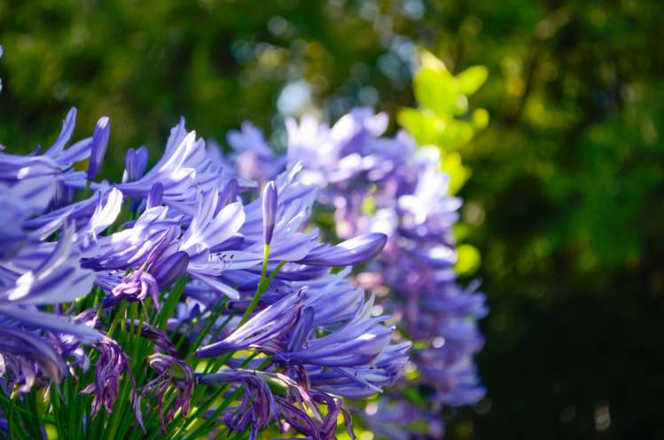 32 Roberts Road Masterton_9