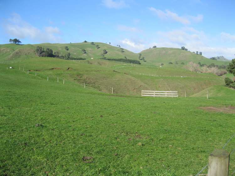 Mangatete Road Ngakuru_6