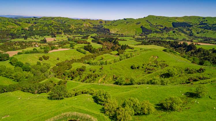 792 Clifton Grove Road Gladstone_3