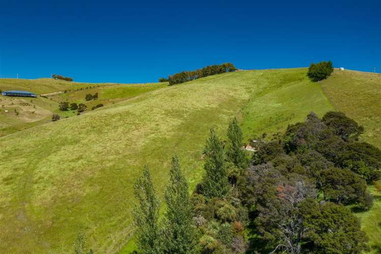 75 Kahu Way Hawkesbury_5