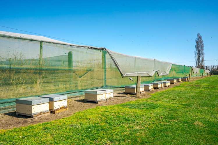 16 Arowhenua Station Road Kerrytown_68