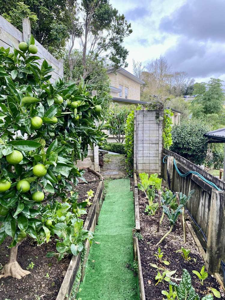 12 Blue Gum Drive Warkworth_18