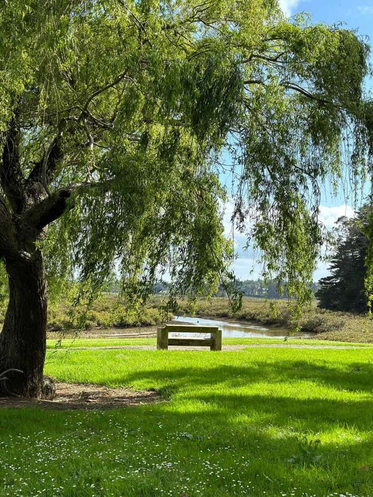 9 Pearson Road Whitford_13